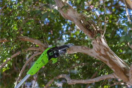 Cutting Back for a Healthier Yard: Fall Pole Saw Tips