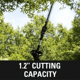60V 20" Pole Hedge Trimmer (Tool Only)