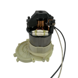 Chainsaw Motor