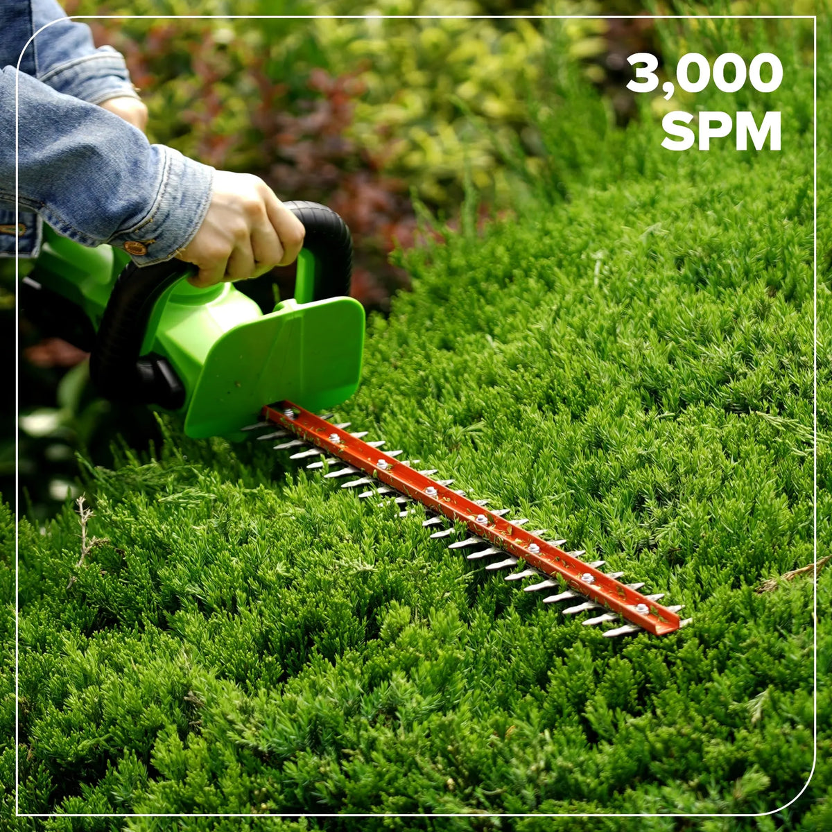 Taille-haie à lame découpée au laser 24 V, 22 pouces (Outil seulement)