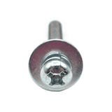 Screw