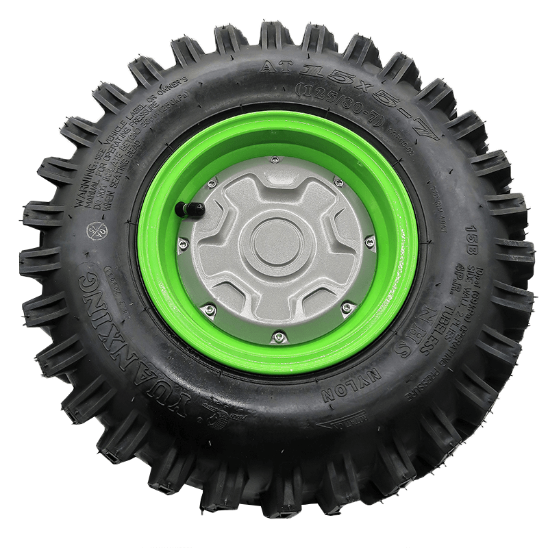 Left Wheel Hub Motor Assembly