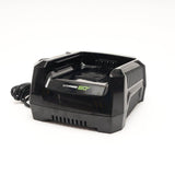 60V Rapid Charger